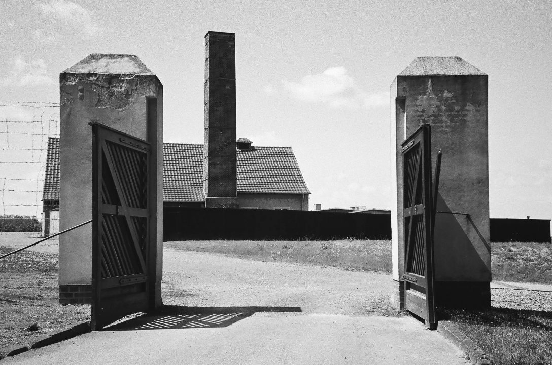 Image by Alexey K on Pexels.com